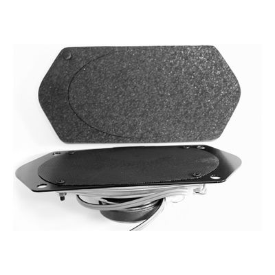 Speaker Under Crash Pad for FORD XW XY