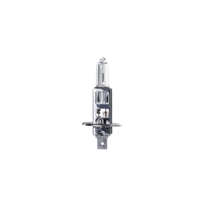 H1 Globe Halogen 12V 55W P14.5s Base Long Life