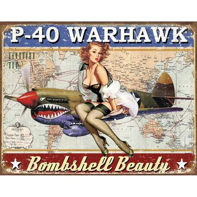 P-40 Warhawk Metal Sign Reproduction 41cm x 32cm P-40 Warhawk Metal Sign Reproduction 41cm x 32cm