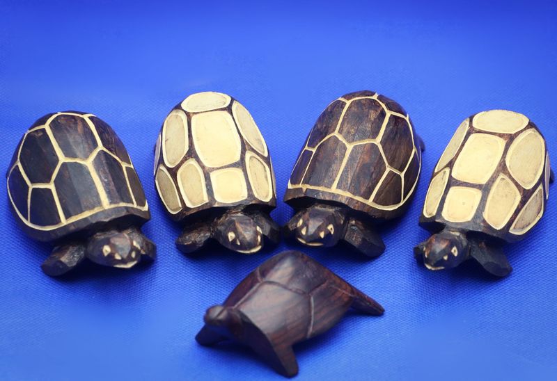 Wooden Turtles