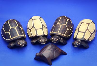Wooden Turtles