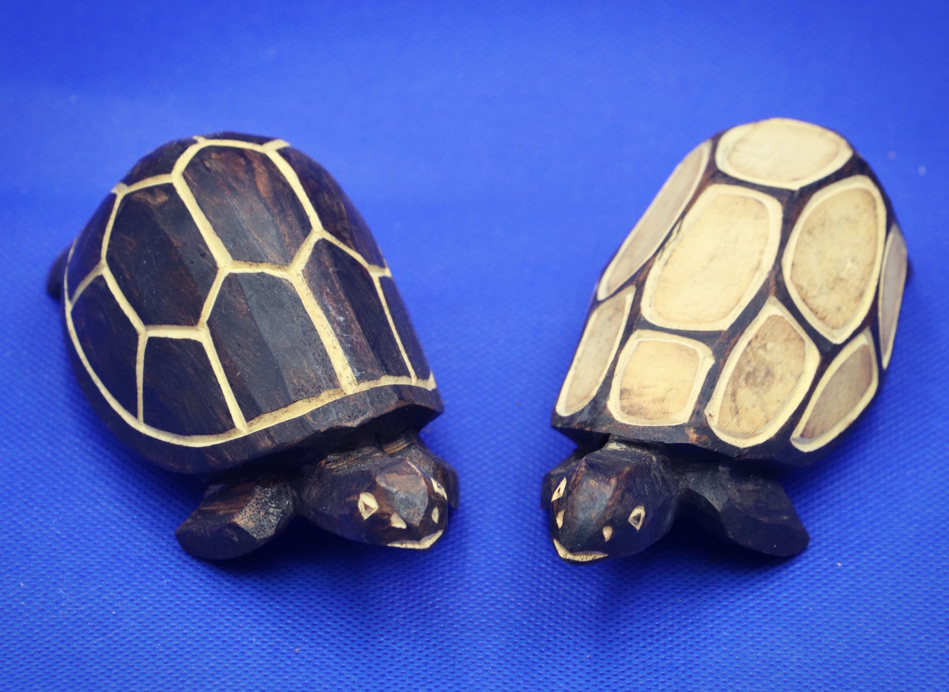 Wooden Turtles