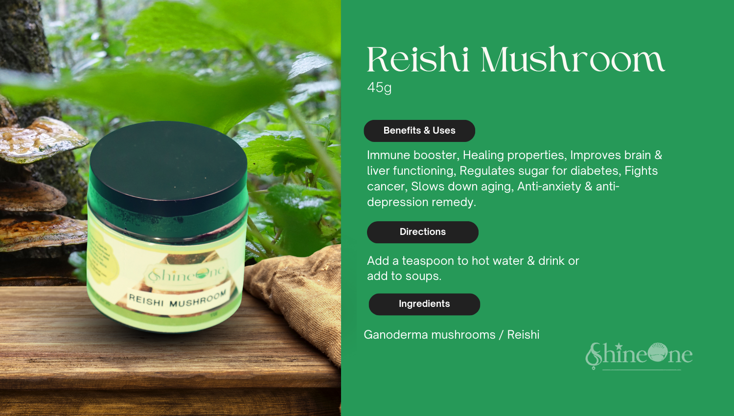 Ganoderma /Reishi Mushroom