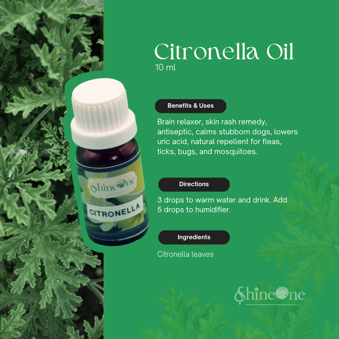 Citronella Oil