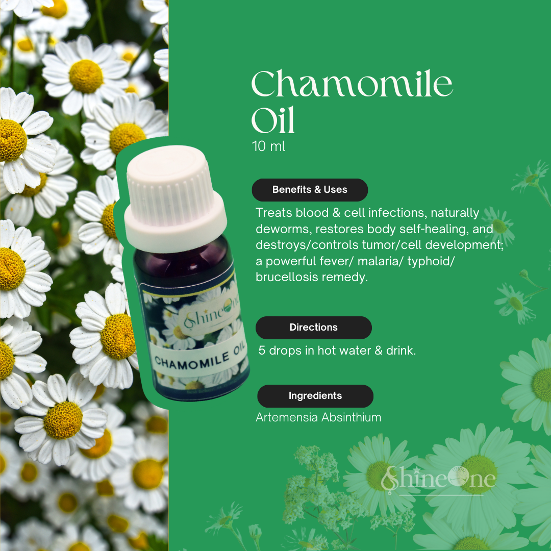 Chamomile Oil