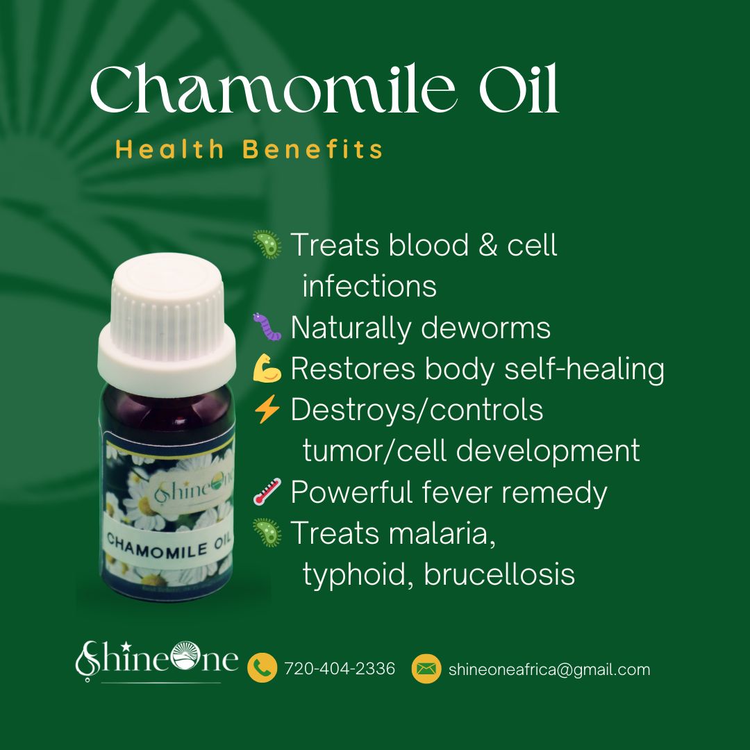 Chamomile Oil