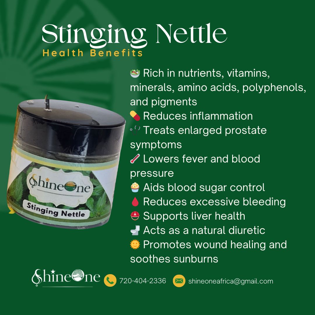 Stinging Nettle