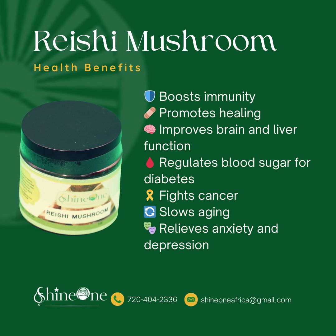 Ganoderma /Reishi Mushroom