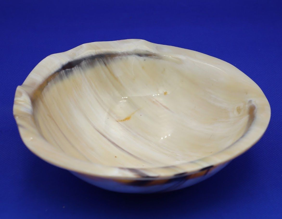 Horn Bowl
