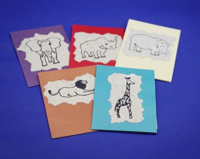 Animal Drawing Greeting Cards