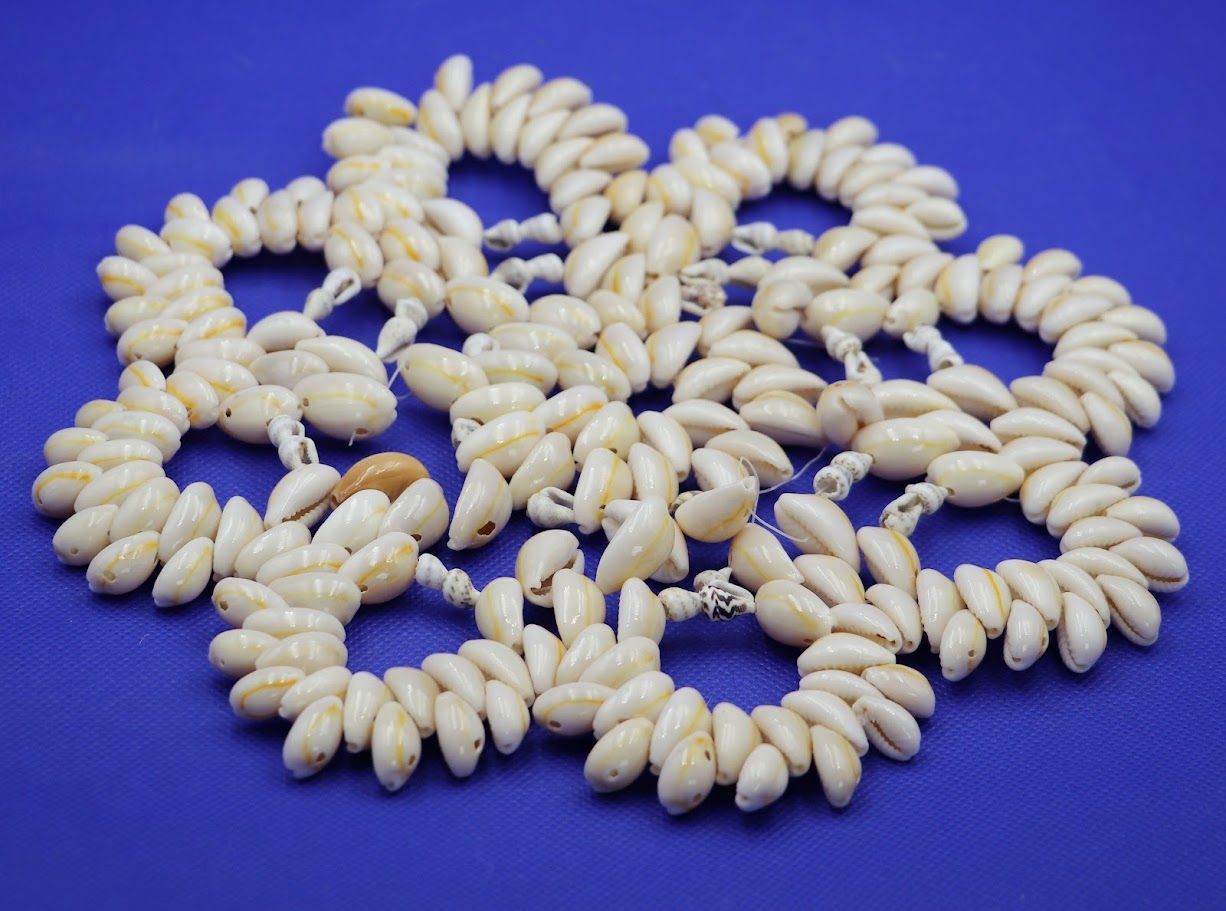 Vintage Cowrie Sea Shell