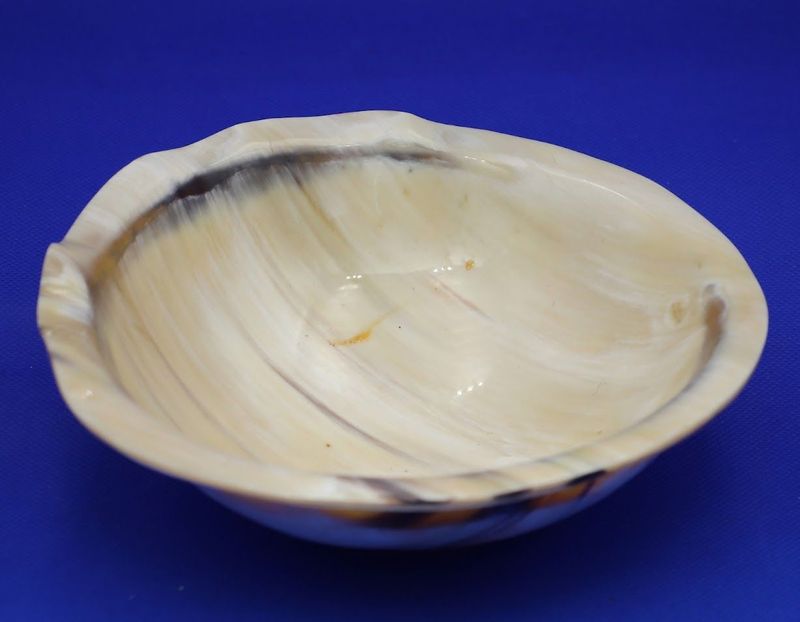 Ebony Wave Horn Bowl