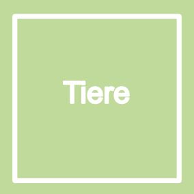 Tiere