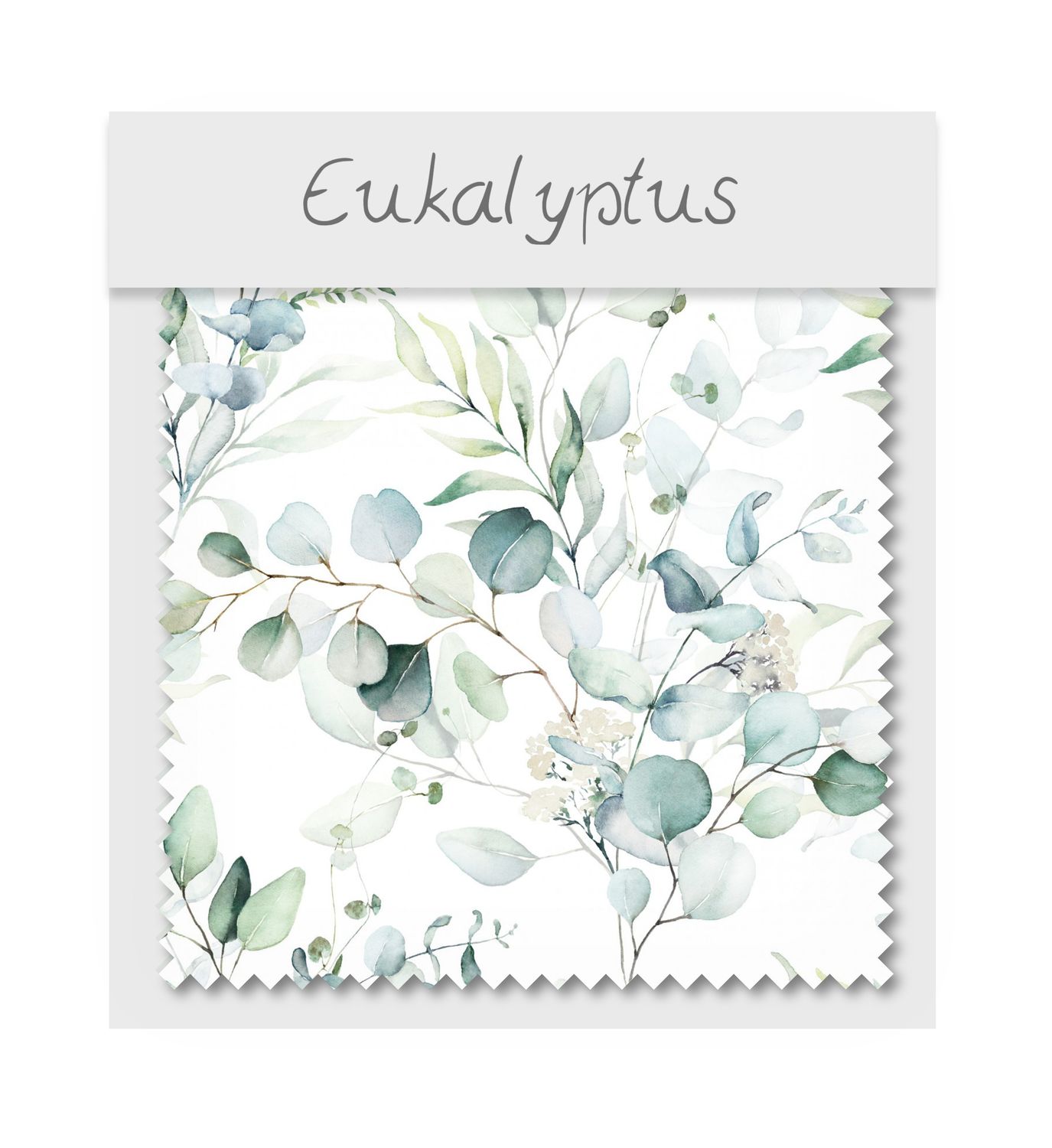 Eukalyptus