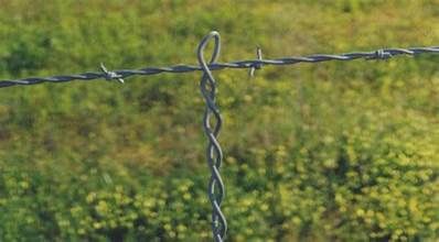 Fence stay (100 count)