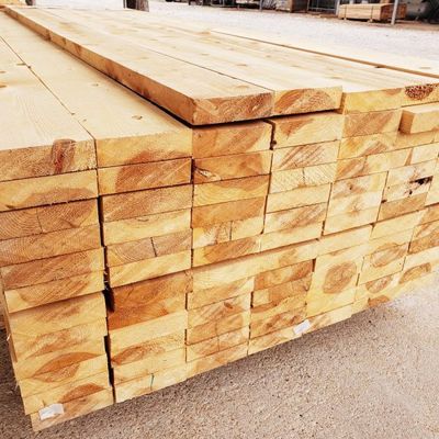 Incense cedar
