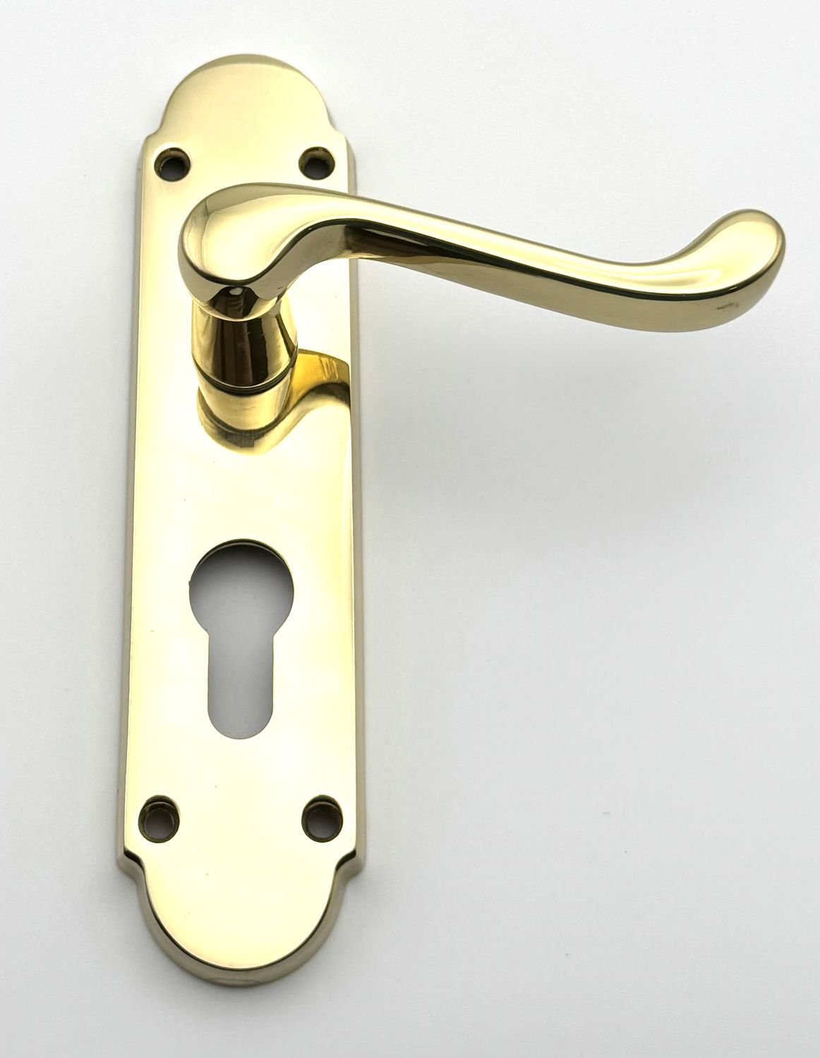 Oakley Euro Lever Lock on Back plate - Polished Brassed (CLEARANCE)