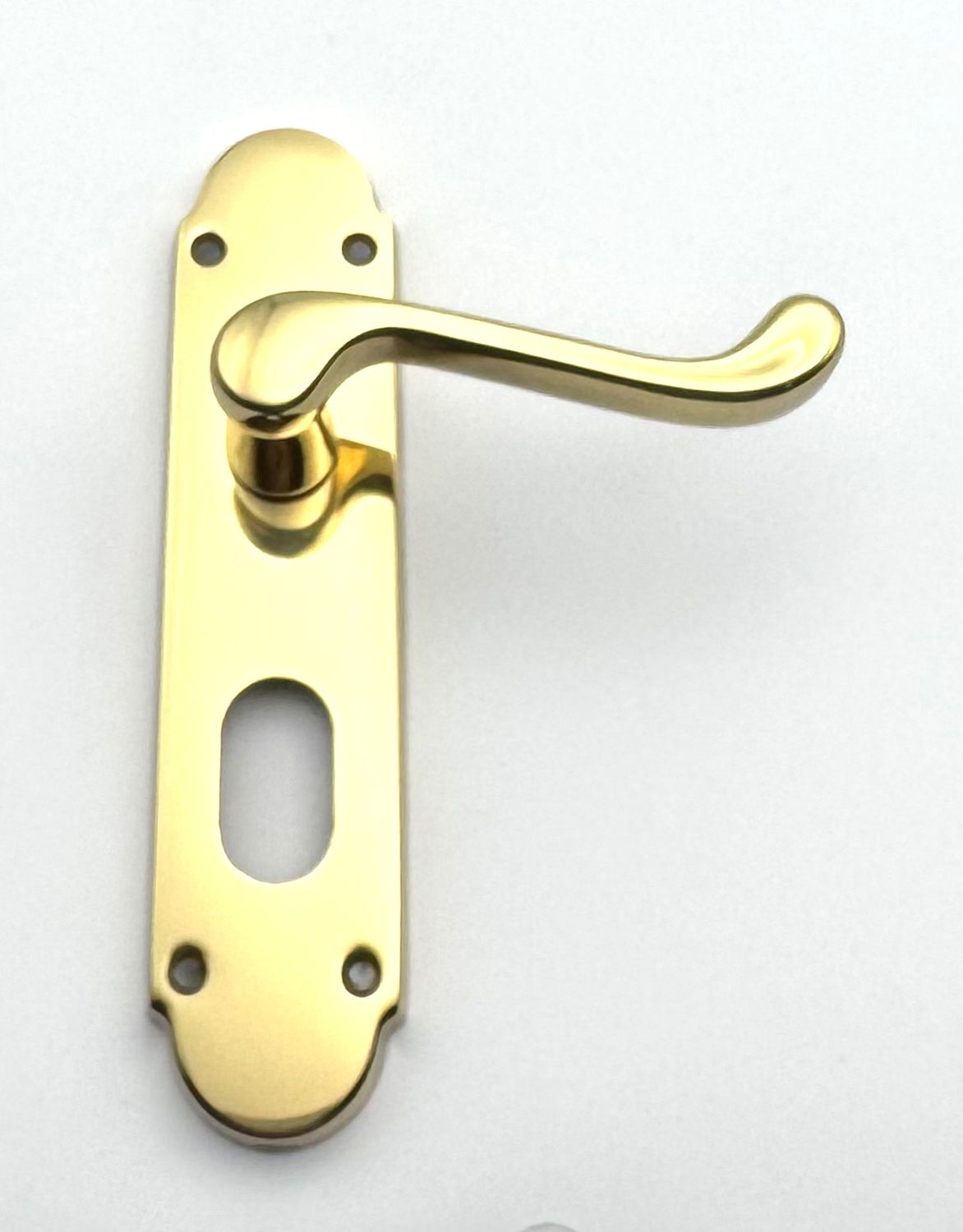 Oakley Lever Oval Lock Handle on Back Plate - Polished Brass (CLEARANCE)