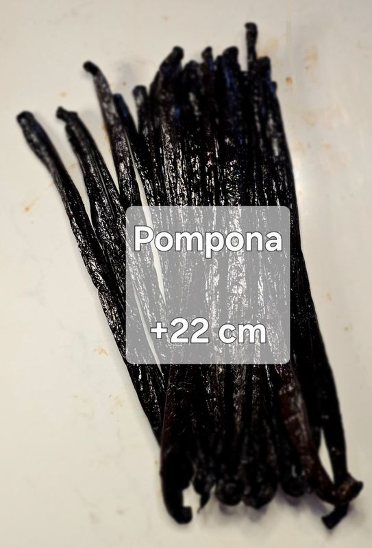 Vanille Pompona Gourmet grade 1 +22 cm