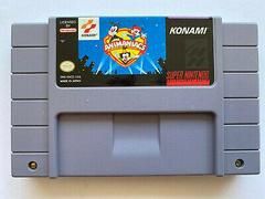 Animaniacs - SNES
