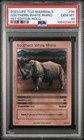 PSA 10 - 2023 TCG Mammals - Southern White Rhino 1st Ed Holo (105423419)