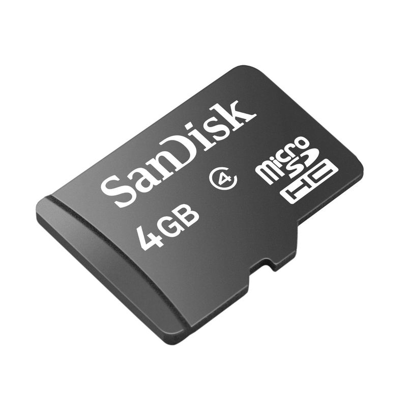 Micro SDHC Card | 4GB