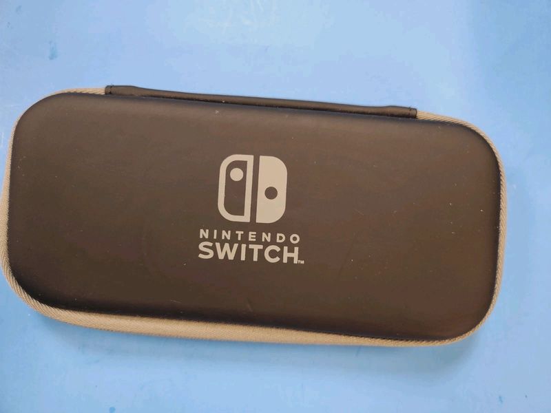 Nintendo Switch Lite carry Case - Gray