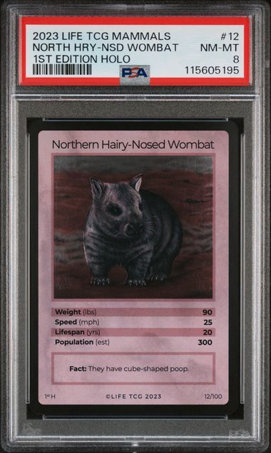 PSA 8 - 2023 LIFE TCG Mammals - North HRY-NSD Wombat - 1st Edition Holo #12 [115605195]