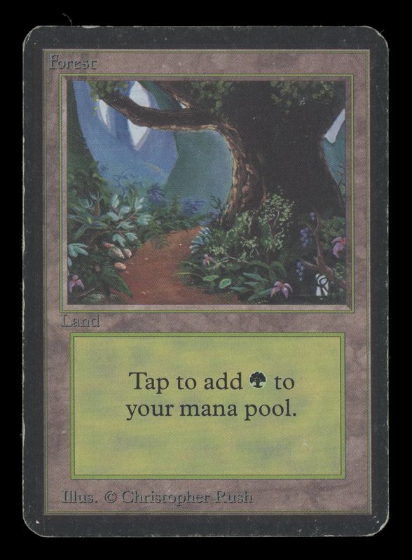 MANA 3.5 - Magic the Gathering 1993: Limited Edition Alpha - Forest #294 - [22117967]