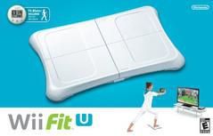 Wii Fit U Board