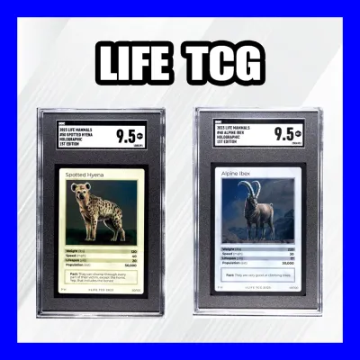 Life TCG