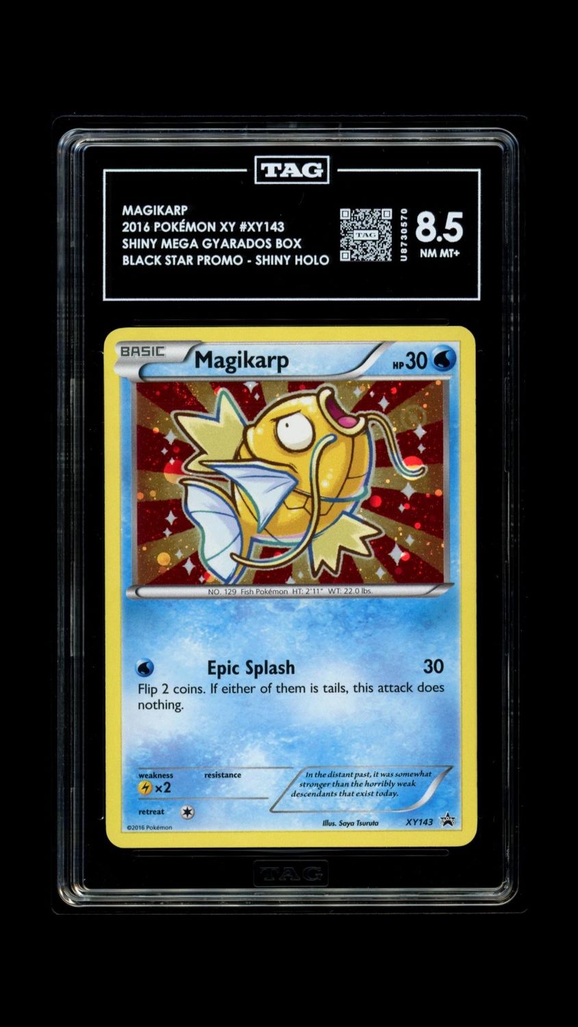 TAG 8.5 2016 Pokemon XY #XY143 Shiny Mega Gyarados Box Black Star Promo - Shiny Holo [U8730570]