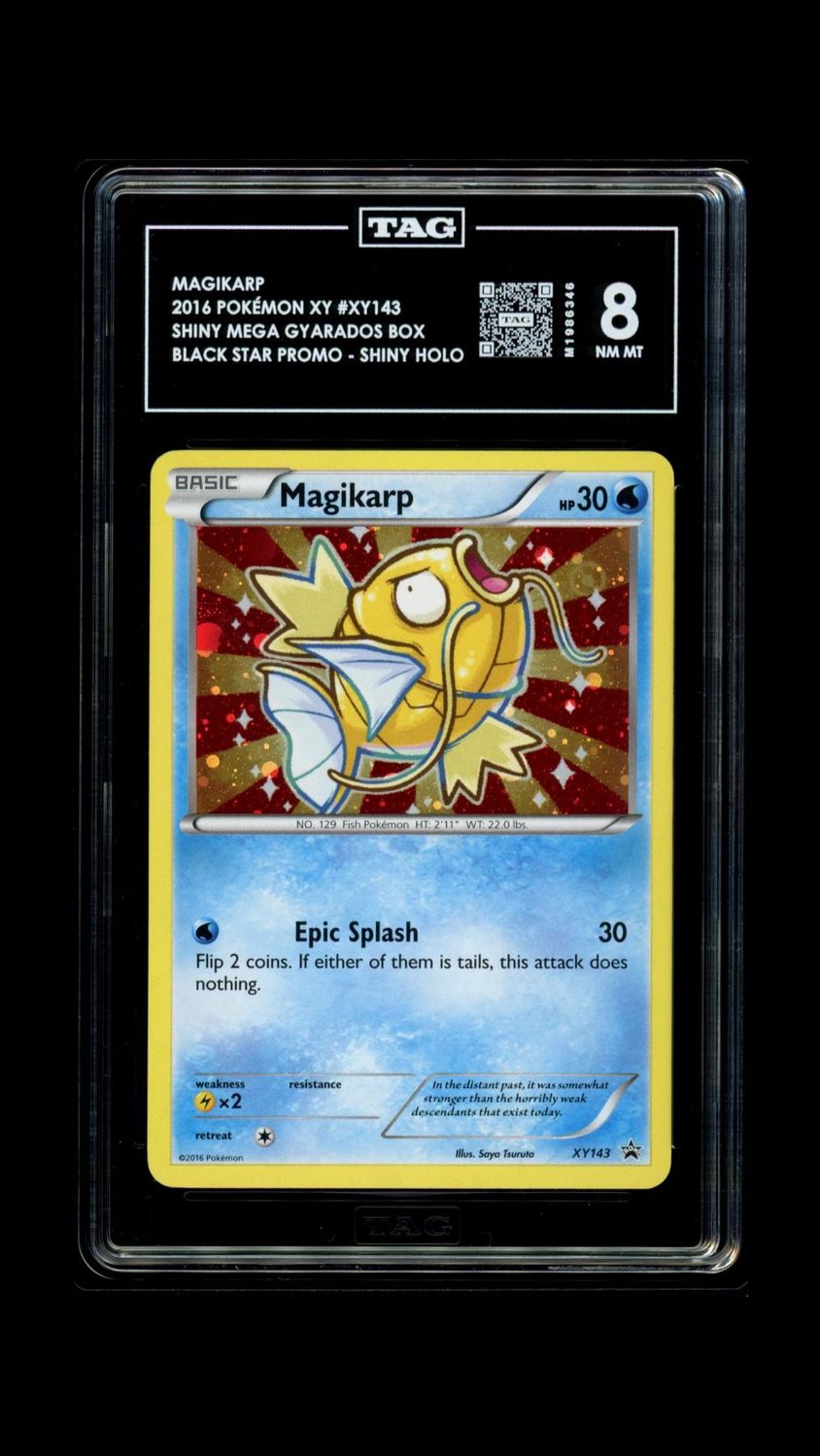 TAG 8 2016 Pokemon XY #XY143 Shiny Mega Gyarados Box Black Star Promo - Shiny Holo [M1986346]