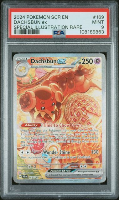 PSA - 9 2024 Pokemon SCR EN Dachsbun ex Special Illustration Rare #169 [108189863]