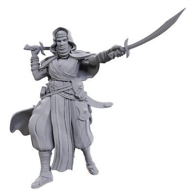 Pathfinder Deep Cuts: Desert Giant (Unpainted)