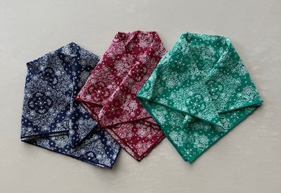 Paisley Bandana