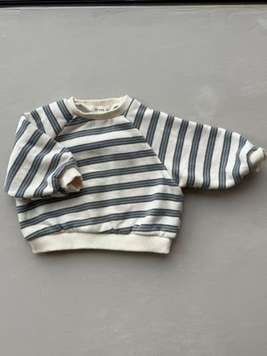 Multi Stripe Brushed Sweatshirt