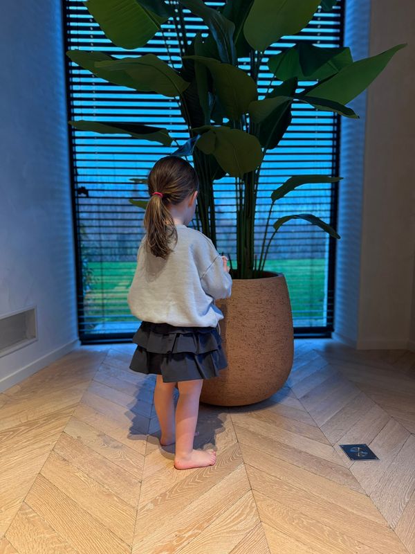 Skirt Pants