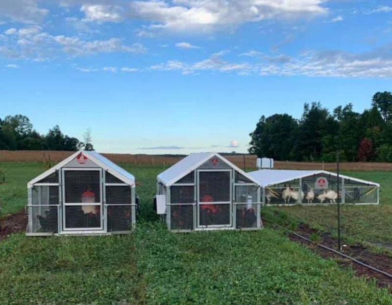 Alumi-Coop 6' x 10'