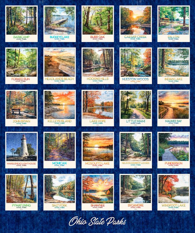 Minky - state parks panel