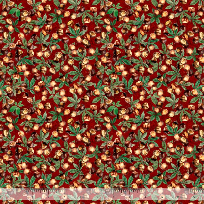 Ohio Buckeyes-red