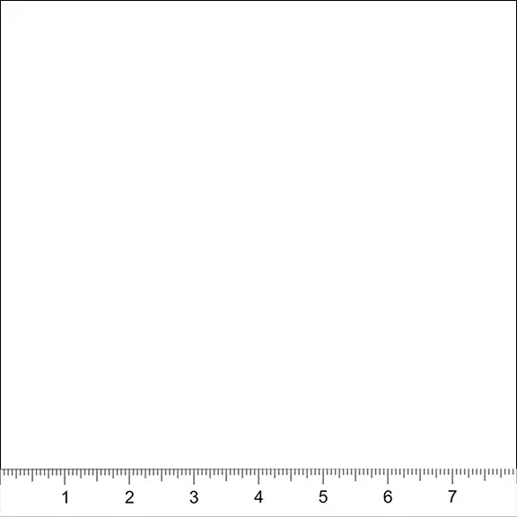 Blender-White