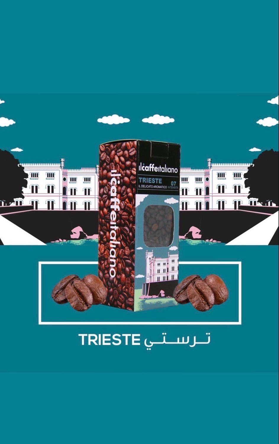 حبوب قهوة تريستي ٢٥٠غ