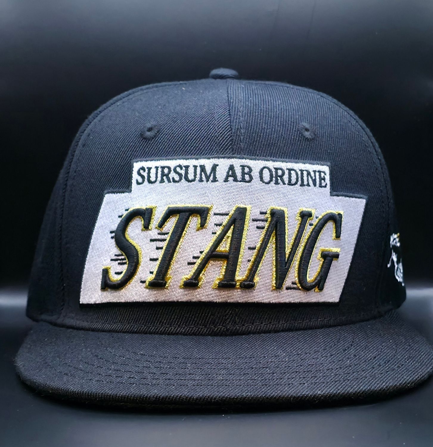 Gratitude Snapback