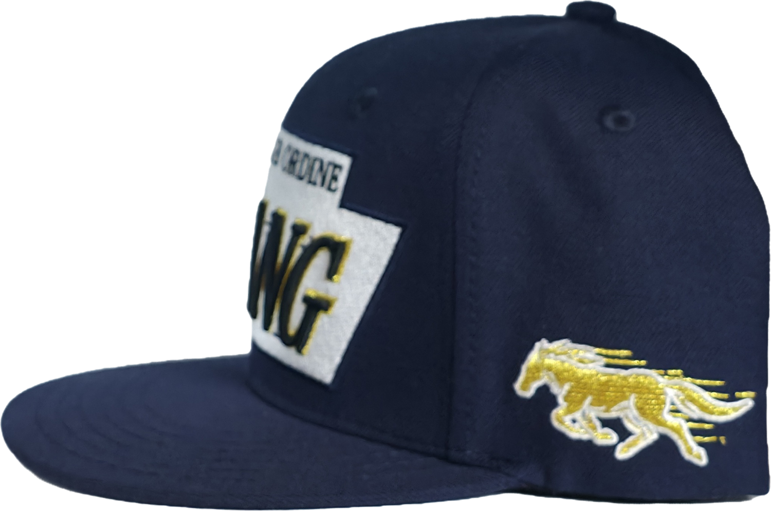 Navy Gold Snapback