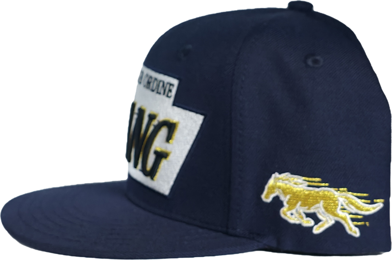 Navy Gold Snapback