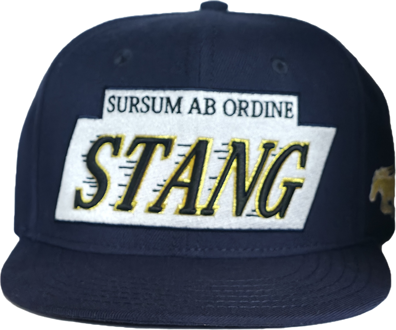 Navy Gold Snapback