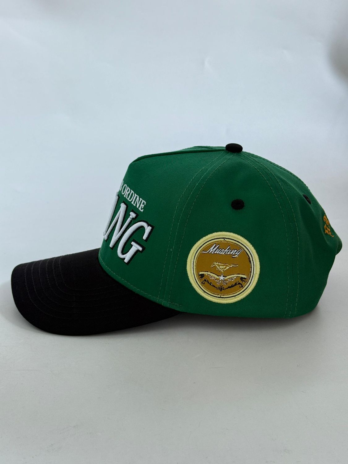 STARBOARD STANG SNAPBACK
