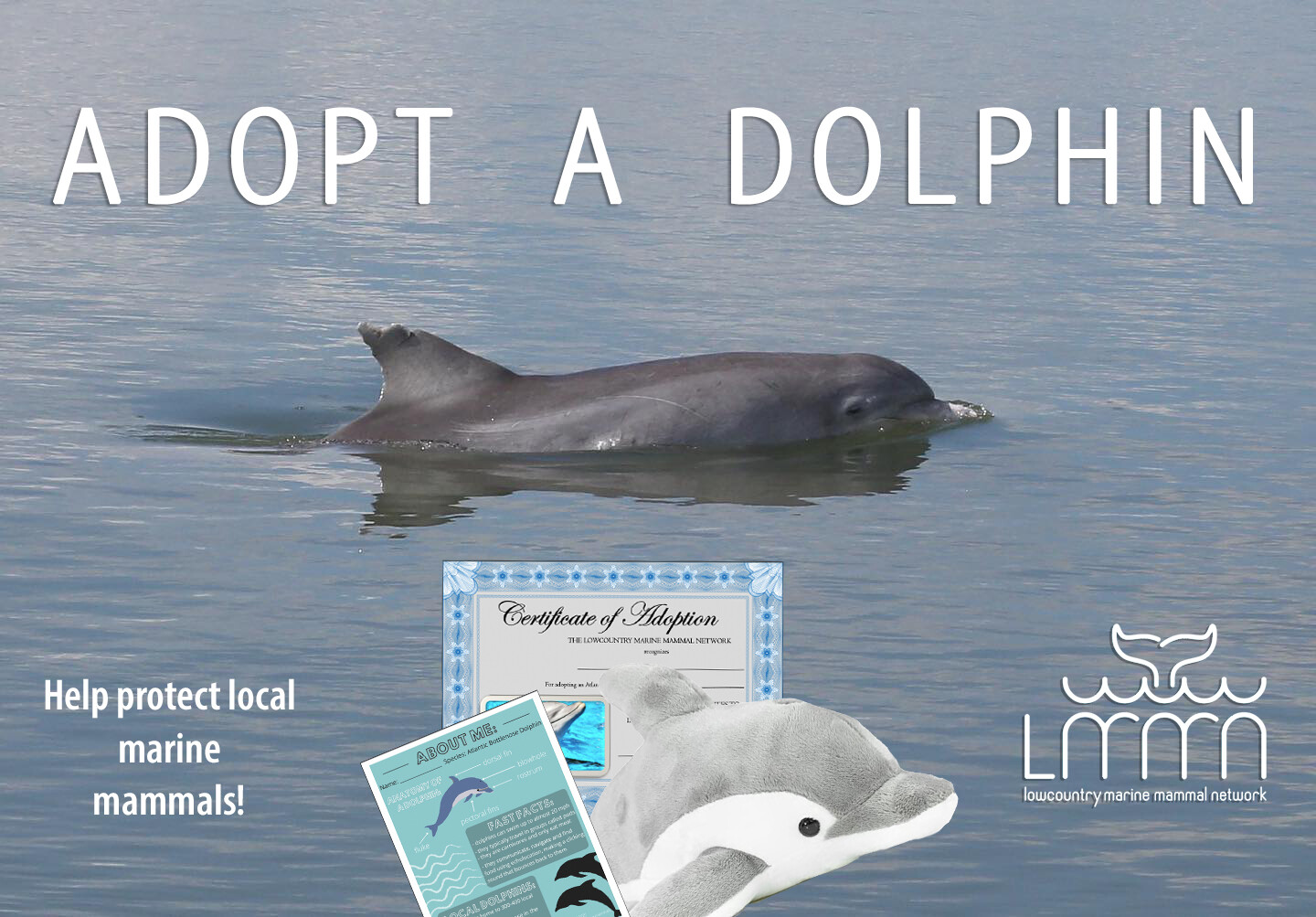 Adopt-A-Dolphin