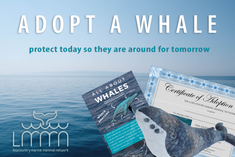 Adopt A Whale
